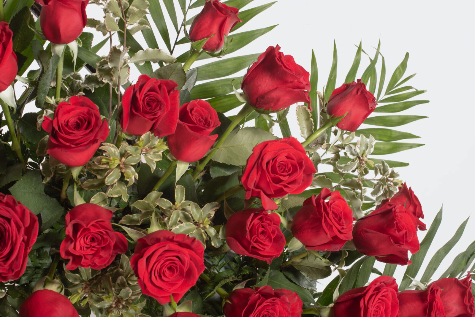 Corona gran de roses vermelles