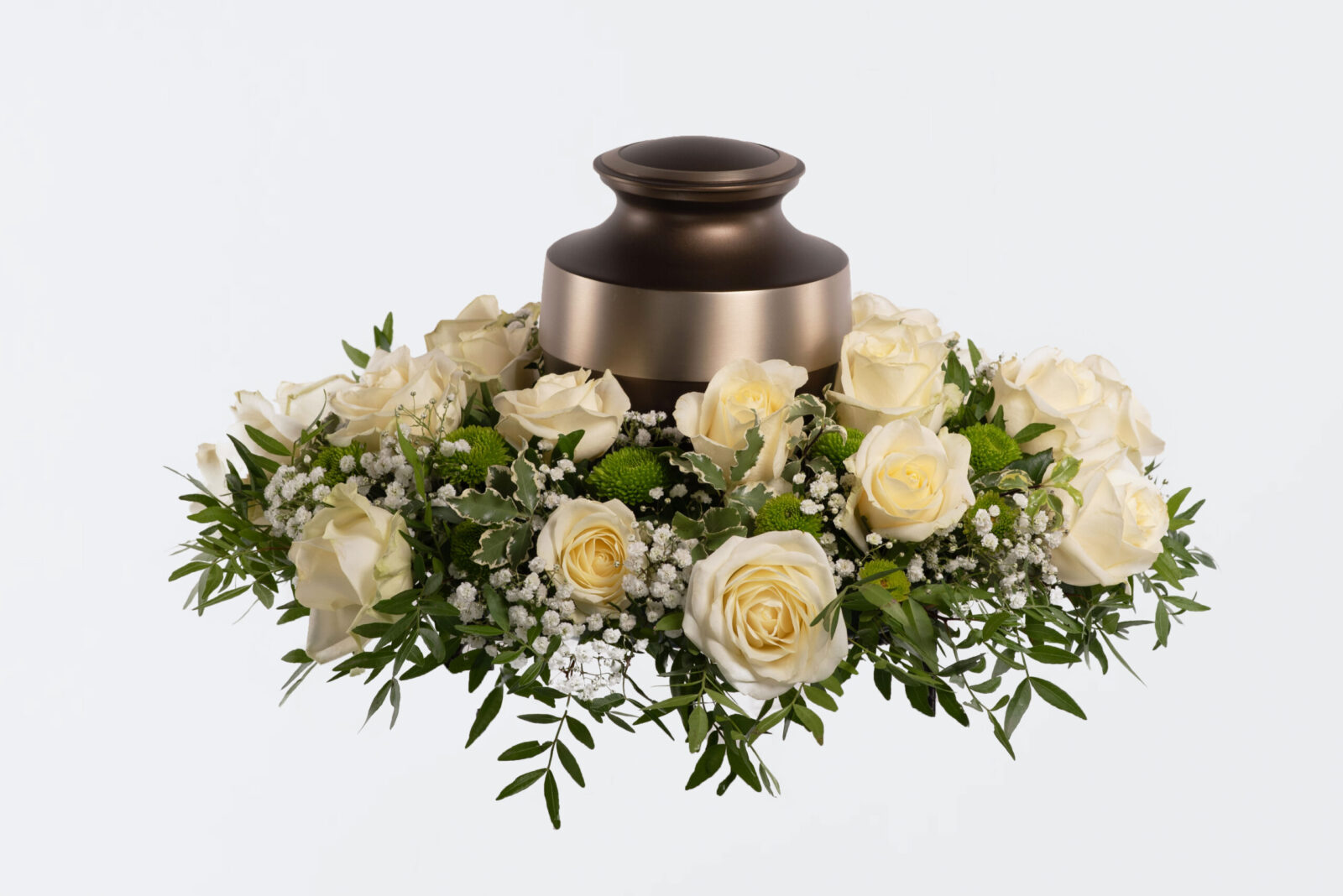 Coroneta blanca.