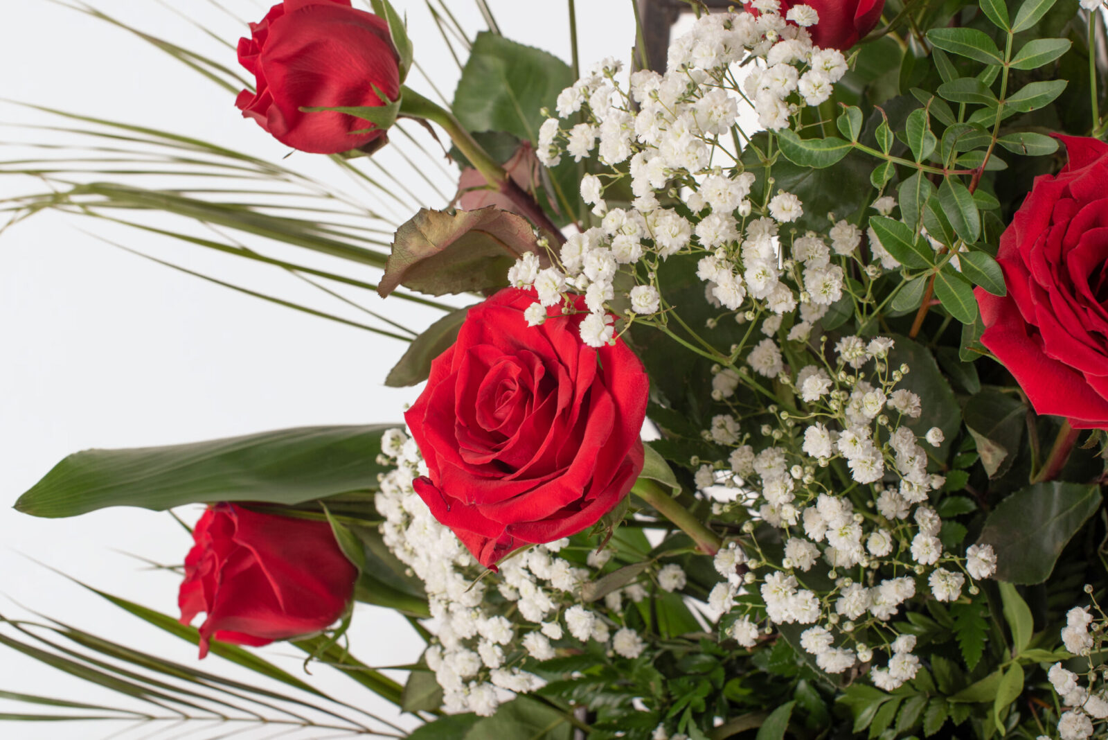 Palma de roses vermelles
